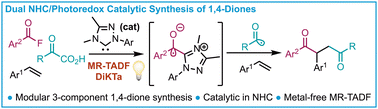Graphical abstract: Dual NHC/photoredox catalytic synthesis of 1,4-diketones using an MR-TADF photocatalyst (DiKTa)
