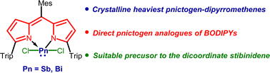 Graphical abstract: Crystalline heaviest pnictogen-dipyrromethenes: isolation, characterization, and reactivity