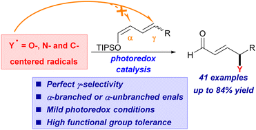 Graphical abstract: Highly selective γ-alkoxylation, γ-amination and γ-alkylation of unbiased enals by means of photoredox catalysis