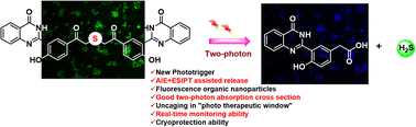 Graphical abstract: A two-photon responsive hydroxyphenylquinazolinone (HPQ)-based fluorescent organic nanoprodrug for H2S release against oxidative stress