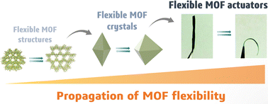 Graphical abstract: Propagating MOF flexibility at the macroscale: the case of MOF-based mechanical actuators