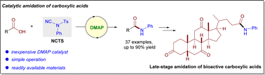 Graphical abstract: Organo-cyanamides: convenient reagents for catalytic amidation of carboxylic acids