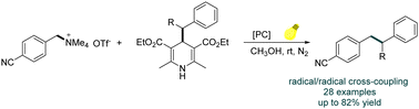 Graphical abstract: Visible-light-induced C(sp3)–C(sp3) bond formation via radical/radical cross-coupling