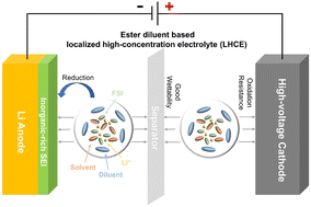 Graphical abstract: Localized high-concentration electrolyte enabled by a novel ester diluent for lithium metal batteries