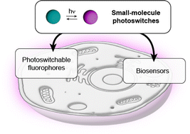 Graphical abstract: Small-molecule photoswitches for fluorescence bioimaging: engineering and applications