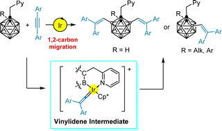 Graphical abstract: Iridium-catalyzed regioselective B(3,6)-dialkenylation or B(4)-alkenylation of o-carboranes via B–H activation and 1,2-carbon migration of alkynes