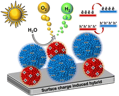 Graphical abstract: Surface charge-directed borophene–phosphorous nitride nanodot heterojunction supports for enhanced photoelectrochemical performance
