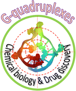 Graphical abstract: Structurally diverse G-quadruplexes as the noncanonical nucleic acid drug target for live cell imaging and antibacterial study