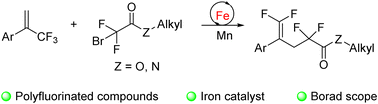 Graphical abstract: Iron-catalysed reductive coupling for the synthesis of polyfluorinated compounds