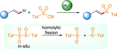 Graphical abstract: Water-mediated radical C–H tosylation of alkenes with tosyl cyanide
