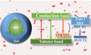 Graphical abstract: Ag-doped InP/ZnS quantum dots for type-I photosensitizers