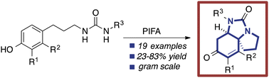 Graphical abstract: Synthesis of spirocyclic 1,2-diamines by dearomatising intramolecular diamination of phenols