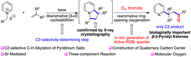 Graphical abstract: Bromide-mediated, C2-selective, and oxygenative alkylation of pyridinium salts using alkenes and molecular oxygen