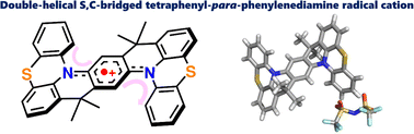 Graphical abstract: A double-helical S,C-bridged tetraphenyl-para-phenylenediamine and its persistent radical cation