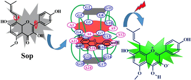 Graphical abstract: Selectively recognizing heptad-interfaced G-quadruplexes by a molecular rotor with an ESIPT emission