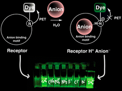 Graphical abstract: Converting pH probes into “turn-on” fluorescent receptors for anions