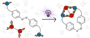 Graphical abstract: A dinuclear copper(ii) complex with photoswitchable catechol oxidation activity