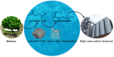 Graphical abstract: A nitrogen-doped carbon nanotube confined CuCo nanoalloy catalyzing one-pot conversion of levulinic acid to 1,4-pentanediol