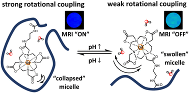 Graphical abstract: Reversible pH-responsive MRI contrast with paramagnetic polymer micelles