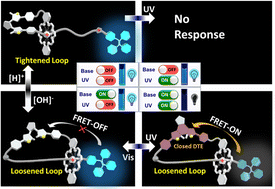 Graphical abstract: Dual and sequential locked/unlocked photo-switching effects on FRET processes by tightened/loosened nano-loops of diarylethene-based [1]rotaxanes