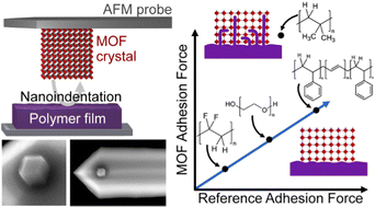 Graphical abstract: Experimental observation of metal–organic framework–polymer interaction forces and intercalation