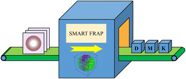 Graphical abstract: SMART FRAP: a robust and quantitative FRAP analysis method for phase separation