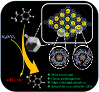 Graphical abstract: Hydroxyl radical-dominated selective oxidation of ethylbenzene over a photoactive polyoxometalate-based metal–organic framework