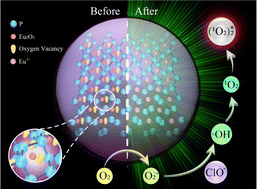 Graphical abstract: Modulated oxygen vacancies in europia clusters/black phosphorus induced signal amplification for efficient chemiluminescence sensing