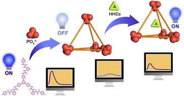 Graphical abstract: Fluorescence “ON–OFF–ON” response in the formation of a tetrahedral anionocage and encapsulation of halogenated hydrocarbons