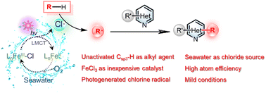 Graphical abstract: Minisci reaction of heteroarenes and unactivated C(sp3)–H alkanes via a photogenerated chlorine radical