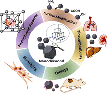 Graphical abstract: Versatile nanodiamond-based tools for therapeutics and bioimaging