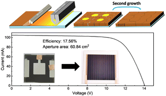 Graphical abstract: FA cation replenishment-induced second growth of printed MA-free perovskites for efficient solar cells and modules