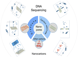 Graphical abstract: Carbon nanopores for DNA sequencing: a review on nanopore materials