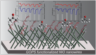 Graphical abstract: Self-assembled monolayer functionalized NiO nanowires: strategy to enhance the sensing performance of p-type metal oxide