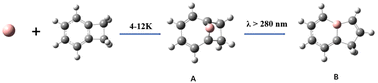 Graphical abstract: Photoinduced boron atom insertion of benzocyclobutene forming an unprecedented fused boron heterocyclic radical