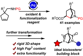 Graphical abstract: Construction of oxygenated 2-azabicyclo[2.2.1]heptanes via palladium-catalyzed 1,2-aminoacyloxylation of cyclopentenes