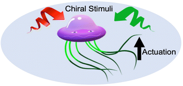 Graphical abstract: Wireless electrochemical actuation of soft materials towards chiral stimuli