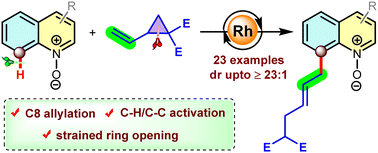 Graphical abstract: Directed C8–H allylation of quinoline N-oxides with vinylcyclopropanes via sequential C–H/C–C activation
