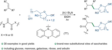 Graphical abstract: Non-classical C-saccharide linkage of dehydroalanine: synthesis of C-glycoamino acids and C-glycopeptides