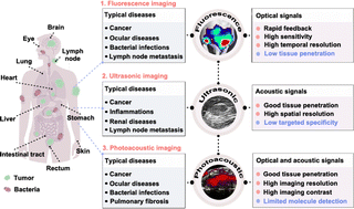 Graphical abstract: Fluorescence, ultrasonic and photoacoustic imaging for analysis and diagnosis of diseases