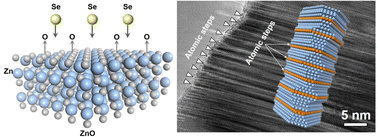 Graphical abstract: Synthesis of highly twinned ZnSe nanorods for enhancing N2 electrochemical conversion to NH3