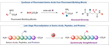 Graphical abstract: Recent advances in the synthesis of fluorinated amino acids and peptides