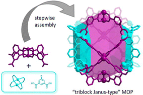 Graphical abstract: Stepwise assembly of heterometallic, heteroleptic “triblock Janus-type” metal–organic polyhedra