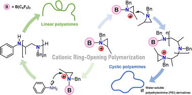 Graphical abstract: Cationic ring-opening polymerization of N-benzylaziridines to polyamines via organic boron