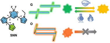 Graphical abstract: Rotors tailoring molecular stacking for constructing multi-stimuli-responsive luminescent materials