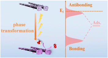 Graphical abstract: Complete reconstruction of NiMoO4/NiFe LDH for enhanced oxygen evolution reaction