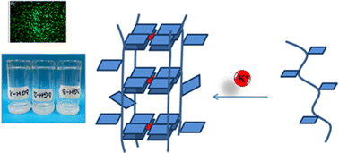 Graphical abstract: Dynameric G-quadruplex–dextran hydrogels for cell growth applications