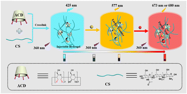 Graphical abstract: Polymerization boosting cascade energy transfer based on opened glucopyranosyl β-cyclodextrin