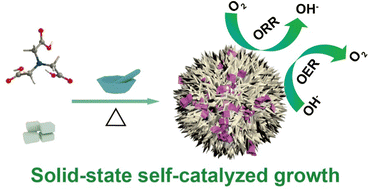 Graphical abstract: Solid-state self-catalyzed growth of N-doped carbon tentacles on an M(Fe, Co)Se surface for rechargeable Zn–air batteries