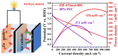 Graphical abstract: Single-cell-array biomass-templated architecture of hierarchical porous electrocatalysts for Zn–air and Zn–H2O2 batteries